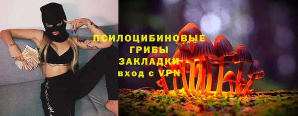 spice Покров
