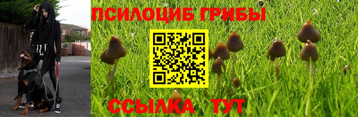 Псилоцибиновые грибы мицелий Татарск