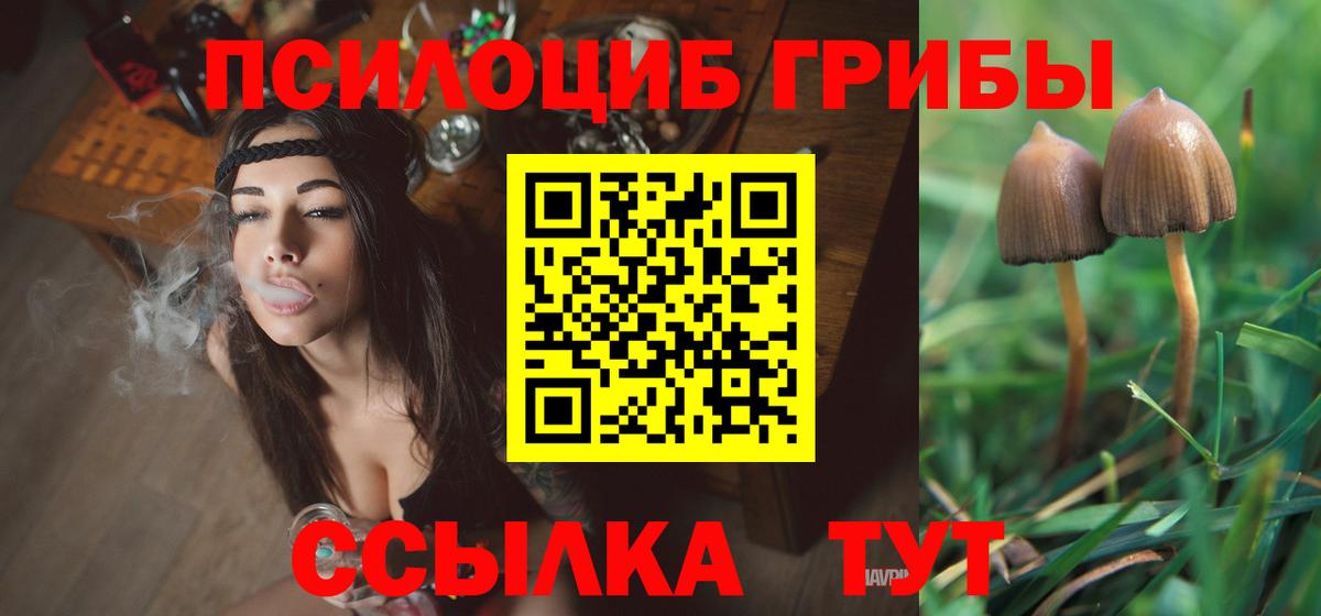 Псилоцибиновые грибы мухоморы  Татарск 